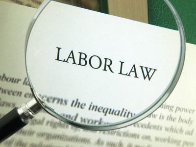 Labor and Employment Law Attorney